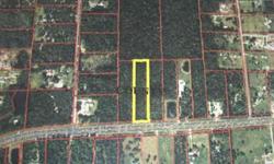 (2) 5 AC parcels located on SR 40 just 10 miles west of I-95, between Appoloosa Ln.& Cone Rd., Ormond Beach. These parcels are zoned A-2 Rural Agriculture. This zoning allows for a wide range of permitted uses