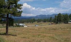 Nice 4 acre parcel minutes from downtown Pagosa Springs yet tucked away for privacy.880 square footbuilding on property, hasnot been used as a residence. Great location to build a home with mountain views, elevatedbuilding site. Parcel has 2 wells.