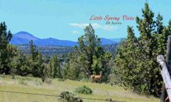 Beautiful 20 acre parcel with spring & very nice perimeter fencing. Gated entrance. Cascade views & private, quiet location. This is a must see.... Open meadow ground with spots of trees for character. Spring source is located near the center of the