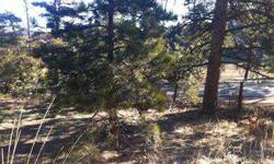 MLS Highway 73 Easy-to-build-on acreage. Offering easy access to both downtown Evergreen and Conifer, the lot has sweeping views and gentle terrain. The well and septic have already been installed and driveway has been cut in. Start building your dream
