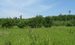 125 Ac of Fabulous deer and grouse hunting adj to 700 ac of wildlife mgmt area.Listing originally posted at http