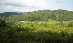 Terrific Home Site!!! 4 or 5 acres (approx.) that lay great on top with a wonderful view. The rest of the acreage includes a long pasture. This is a very secluded area, close to the national forest. With-in 15 minutes of Johnson City, Elizabethton,