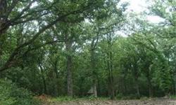 Beautiful wooded lot over 1 full acre. Quiet secluded site across from Timber Trails original golf course. Design and build with contractor that owns property to save on total costs. Many previous custom built homes by contractor with referrals provided