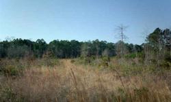 GREAT OPPORTUNITY WITH HIGHWAY FRONTAGE. THIS PROPERTY FRONTS HWY 301 AND ALSO AVAILABLE WOULD BE 2 MORE ACRES AND HOME. BUY THE LAND OR BUY IT ALL.Listing originally posted at http