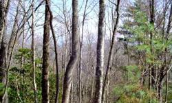Several potential home sites offer breathtaking views. Small branch in the holler. Electric is available and paved road frontage. Build your dream home. 12.53-acres
Listing originally posted at http