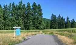 Beautiful, peaceful 10 acre views sites 15 minutes from Valley Mall. Horse approved development includes underground utilities, paved roads and security gate with awesome views of Mt. Spokane!! Rolling wheat fields all around. Wells are averaging 30