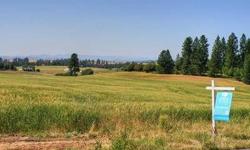 Views that will melt your heart!!! Just minutes from the Spokane Valley and the Northside. Sweeping views of Mt. Spokane. This spacious horse approved development includes underground utilities, paved roads and a security gate. Bring your builder or buy