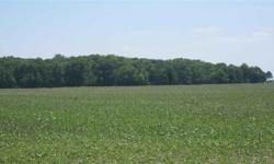 15 wooded acres down a country lane. Great location to build your dream home. Sit back and enjoy the views and wildlife that this magnificent country setting offers. Zoned agricultural but is a buildable lot for a single family home. Road back to the 1