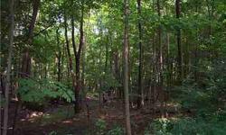 Lightly wooded with potential homesite set back off the road overlooking Trout Brook stream. Engineering needed for building approvals. Possibly subdividable.
Listing originally posted at http