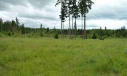 Once in a life time opportunity to own this High and Dry level 100% usable 20 acres in the McKenna Forest Reserve. Absolutely NO WETLANDS. No clifts, no weird shaped lot, this is absolutely the best lot left in Pierce County to build that big indoor