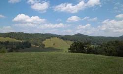 Beautiful mountain views and valley views from this tract of land. Multiple building sites to choose from either from 3000' elevation or tucked away in the woods by one of the streams that meander through the property. There are many springs located