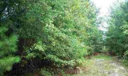 NEARLY LEVEL PROPERTY LIGHTLY WOODED WITH OLD ROAD BEDS AND AN OLD HOMESITE ON THE PROPERTY. FRONTAGE ON HWY 39. SURVEY TO BE RECORDEDAND APPROVED PRIOR TO CLOSING. PROPERTY WILL REQUIRE WELL AND SEPTIC BY BUYER. ADDITIONAL 10 ACRES AVAILABLE WITH