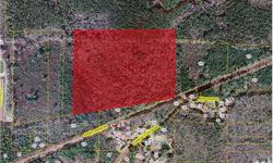 Great opportunity to own 43+ acres in Northern Beaufort County, property is bordered by large plantation, very private setting with county maintained road frontage. Large live Oaks throughout the tract, opportunities for Equestrian, farming, hunting, pond