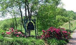 Low-density neighborhood of eight 10+ acre tracks. This track is mostly wooded, gently sloping and ready for your private estate home. Only 20 minutes from West Jefferson. Lovely gated subdivision.
Listing originally posted at http