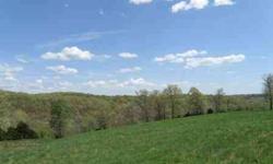Beautiful hilltop acreage with panoramic ozark views, nice mix of pasture ground & woods, long ridge that terraces down to Hwy 413. Great hunting available here! HUGE walk-in Cave at bottom of hill with yr-rnd Spring coming out of it! You can access this