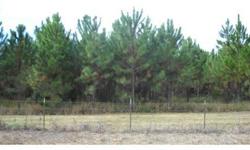 Only 3 miles from Mayo. 47 acres approx. 18-20 acres in planted pines, planted in 2001. Stocked fish pond, RV pad with electric, rustic cabin sold "as is". Nice mix of pasture and pines. Property adjoins a 32,000 aces hunting club and is also located just