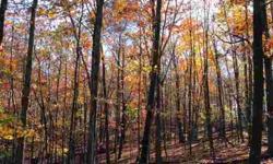 BEAUTIFUL, WOODED PROPERTY LOCATED JUST OUTSIDE THE VILLAGE OF GOSHEN. PROPERTY IS IN THE PROCESS OF BEING FULLY ENGINEERED AND WILL BE AN APPROVED BUILDING LOT. EXCELLENT, SCENIC LOCATION FOR YOUR DREAM HOME.Listing originally posted at http