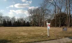 Wonderful location! Steps from downtown Geneva, the Fox River, and the metra station. Bring you plans and build your dream home. There are four lots available. The lots on the west side of Garfield are 60 x 200 (12,000 SF) and priced at $119,000, east