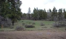 Great parcel, full 10 acres, borders national forest and Catchpole Creek at north end.South end of 10 acres has road access, great solar aspect on 6 of 10 acres. Only one neighbor is visible. Vacant land, easy to walk
Listing originally posted at http