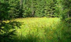 Build your home exactly where you want it. Heavily treed 38.50 acres. Level to gentle slop. Power & Phone on property line. Fir, larch, white pine, lodge pole & CEDAR. Within 5 miles of Newport.Listing originally posted at http