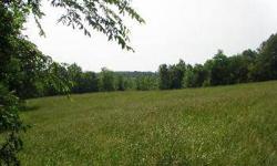 Beautiful rolling land with mixed hardwoods, pasture and a bold stream running through the property for over 2000'. Already perked for a 4 beds home. Ideal for horses and hunting. A long driveway takes you to a beautiful hay field.
Listing originally