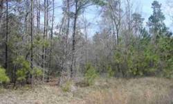 21 acres total, twenty acre reserve & one acre lot, property backs up to the proposed location of earth quest park, very secluded, mostly wooded,2 air conditioner cleared w-200x200 slab. Listing originally posted at http