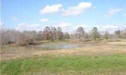 Seller has plans ready to build 2000+ home. Use your Builder or Preferred Neighborhood Builder. Cleared lot backs up to a pond for fishing beautiful view. Emerald Lakes is a 475 Acre Gated Community with a 30 acre Bass Lake. Only non-motorized boats or