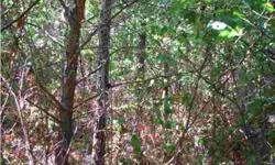 $120,000. Beautiful tract of land atop Cagle Mountain in Dunlap. Seller financing available. 5-year financing with 25 down and 6 interest. Seller will also divide property