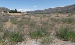 Affordable 7.08 ac. Vacation Retreat! Sunshine over 300 days a year. Views of the Columbia River, Mountains & Orchards for miles. Recreation Galore. Fish Salmon & Steelhead. The Okanogan & Methow Rivers Very Close by. Game Hunting. Boating, Skiing, Jet