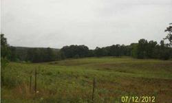 $123,000. Beautiful 24.99 acre tract with lots of road frontage. Property is level to rolling, mostly cleared in pasture is fenced has public water service. Good development potential or would make a great mini farm. There is an old structure on the