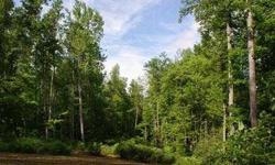 These beautiful four acres are actually two lots being sold as 1!
Listing originally posted at http