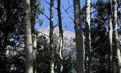 Located in the Prestigious sought after North Fork area at the base of Mt. Shavano. Heavily treed with Aspens, Ponderosa, and Magnificent Views. Drill well on property, electric & phone at lot, easy access. The Perfect Colorado Mountain Dream!
Listing