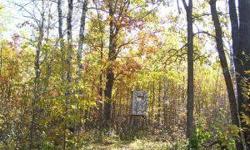 Outdoors Men take Note! Great deer bear and grouse hunting, 4 enclosed deer stands, food plots, trails and shooting lanes throughout. Close to Itasca State Park, Paul Bunyan State Forest, groomed snowmobile trails and ATV trails. 16 x 24 cabin with 6 x 24