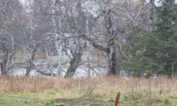 Beautiful lot on the famous Rainy River, with approx 6.2 acres, and 470' of water frontage. Property comes with storage shed, and would be a perfect spot for a home or cabin.Listing originally posted at http