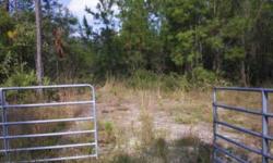 Reduced!!. This parcel consist of two lots totalling 24.98 acres, 1 lot is 23 acres and the other is 1.98. Listing originally posted at http