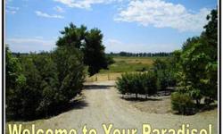 Build your own country paradise amidst mature fruit trees and enjoy breath taking views of the Boise foothills and the surrounding farm fields. With full water rights for your 2 acres, you have limitless opportunities. Organic farming? Nursery? Vineyard?