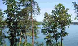 LEWIS SMITH LAKE Great lake lot with a wide water view over looking Goat Island. This lot is close to Smith Lake Park and approximately 7 miles from I-65. This is an unrestricted lake lot with paved roads. Located next to Lakeshore Estates. The water