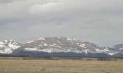 Incredible Opportunity to own 83 acres that is Metes and Bounds with power and phone close by! Fenced on 3 sides and backs to BLM land too. Easy access to Fairplay and Breck. 360 degree views with all day sun perfect for solar. Zoned Agricultural and