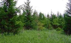 10 beautiful, thickly wooded acres in Dodge Co less than 10 min from Hartford. This property offers a large hill top area that could be thinned for a home site with awesome views. A southern exposure hillside for a semi exposed earth shelter home or