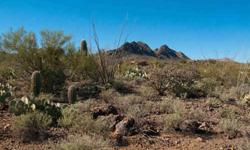 Tucson Mountains?Building Site with Views. High lot in a quiet neighborhood at end of cul-de-sac. Elevation approximately 2400'. Around 1/2 acre (feels like more) on a nice hill with fine, 360 degree views of the Tucson Mountains and valley. Surrounding