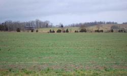 #2482 - Near Flatwoods in Jonesville, VA is where this gorgeous tract of farm land lays; corner lot; suitable for building; city water; level 18.904 surveyed acres; It is rare a desirable farm like this one comes on the market; growing area; reasonably