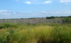 20 ACRES, NATIVE BRUSH! Front fence row and private Road on property. All info must be verified.Listing originally posted at http