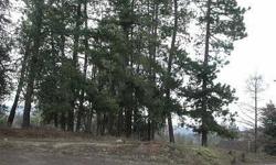 A very special 15 acres (M.O.L.) Wooded with moutain views. Located in N.E. spokane county. About 20 minutes from Spokane's North side. 3 seperate 5 acre (M.O.L.) parcels with well and one with an older home. County Rd. Frontage.
Listing originally posted