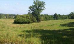 WOODED & OPEN PASTURE LAND THAT IS FULLY FENCED W/LAKE*** PASTURE HAS BEEN USED AS HAY FIELD JUST MINUTES FROM FRANKLIN, CARROLLTON, BOWNDON, RANBURN, LAKE WEDOWEE, ETC... PROPERTY HASListing originally posted at http