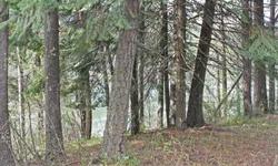 142' of Waterfront on PendOreille River. 3 Lots totaling 3A(mol). Culvert is installed under LeClerc Rd for the purpose of future drainfield so small home could be built on w/f or build a huge home on other side of Leclerc and have fabulous views plus