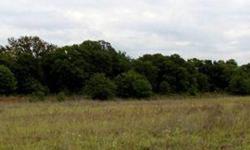 21 acres with a tank, stocked with catfish, that has never been dry! This is a nice piece of land with beautiful oaks and native grasses are ready for your stock and/or your newly built home. It's not far from Stephenville in the Huckabay School District.