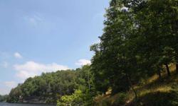 Moonrise Bluff Estates is a gated community making it one of the premier places to be on Lake Malone. This partially wooded 2.5 Acre lot has privacy, abundance of wildlife, deep water, all available utilities, and a homeowners's association are just
