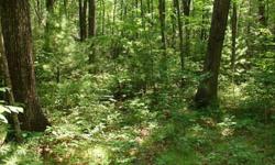 Nice, large lot in desirable Found Forest, easy build, septic evaluation, community water, not to be missed!
Listing originally posted at http