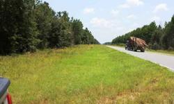 40 acres of excellent deer and turkey habitat. Includes well and septic plus 308 sq. ft. well constructed camp. Mature planted pines with road cut through. Many good sites for hunting stand.Listing originally posted at http