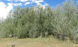 3.75 Acres with Water Rights! Easy access through County Road 77. There are 2 old structures that are unusable, and there's community water to the lot line, plus irrigation rights. There is a heavily aspen populated area in the property that would be
